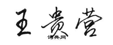 駱恆光王貴營行書個性簽名怎么寫