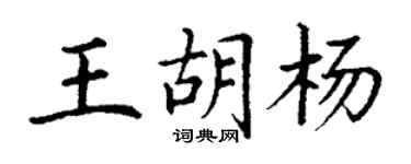 丁謙王胡楊楷書個性簽名怎么寫