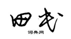朱錫榮田民草書個性簽名怎么寫