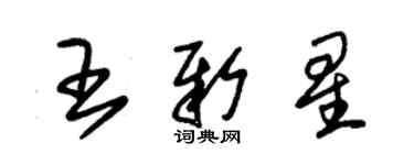 朱錫榮王新星草書個性簽名怎么寫