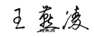 駱恆光王燕凌草書個性簽名怎么寫