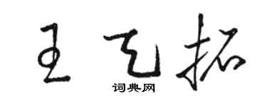 駱恆光王天拓草書個性簽名怎么寫