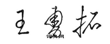 駱恆光王勇拓草書個性簽名怎么寫