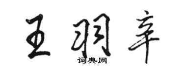 駱恆光王羽辛行書個性簽名怎么寫