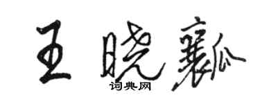 駱恆光王曉瓤行書個性簽名怎么寫