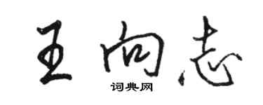 駱恆光王向志行書個性簽名怎么寫