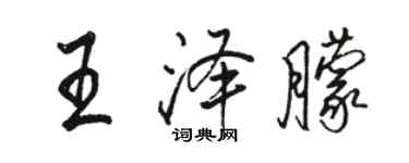 駱恆光王澤朦行書個性簽名怎么寫