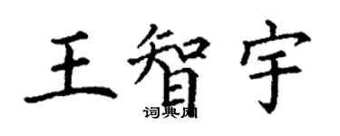丁謙王智宇楷書個性簽名怎么寫