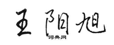 駱恆光王陽旭行書個性簽名怎么寫