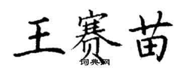 丁謙王賽苗楷書個性簽名怎么寫