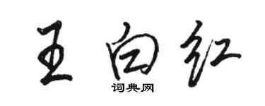 駱恆光王白紅行書個性簽名怎么寫