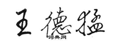 駱恆光王德猛行書個性簽名怎么寫