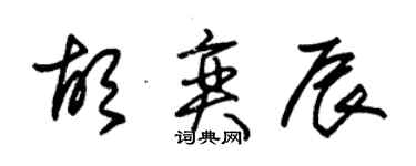 朱錫榮胡奕辰草書個性簽名怎么寫