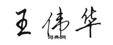 駱恆光王偉華行書個性簽名怎么寫