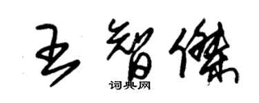 朱錫榮王智傑草書個性簽名怎么寫