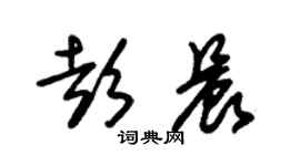 朱錫榮彭晨草書個性簽名怎么寫
