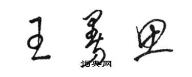 駱恆光王曼思草書個性簽名怎么寫