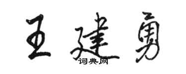駱恆光王建勇行書個性簽名怎么寫