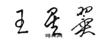 駱恆光王星翼草書個性簽名怎么寫