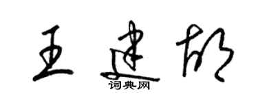 梁錦英王建胡草書個性簽名怎么寫