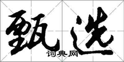 胡問遂甄選行書怎么寫