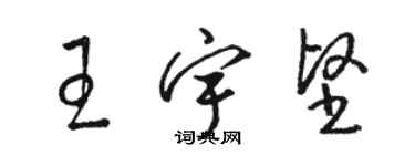 駱恆光王宇堅草書個性簽名怎么寫