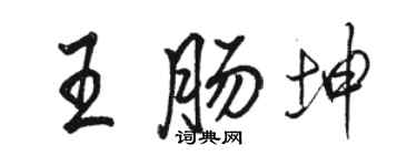 駱恆光王腸坤行書個性簽名怎么寫