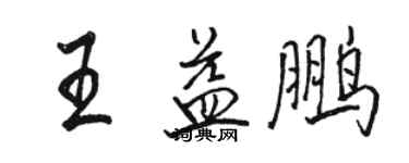 駱恆光王益鵬行書個性簽名怎么寫