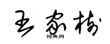 朱錫榮王家樹草書個性簽名怎么寫