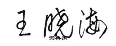 駱恆光王曉海草書個性簽名怎么寫