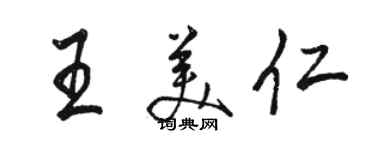 駱恆光王美仁行書個性簽名怎么寫