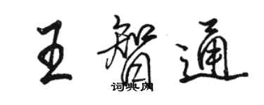 駱恆光王智通行書個性簽名怎么寫