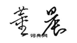 駱恆光董晨草書個性簽名怎么寫