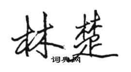 駱恆光林楚行書個性簽名怎么寫