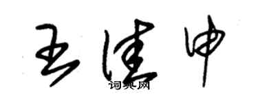 朱錫榮王佳申草書個性簽名怎么寫