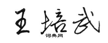 駱恆光王培武行書個性簽名怎么寫