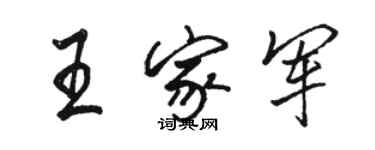 駱恆光王家軍行書個性簽名怎么寫