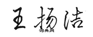 駱恆光王揚潔行書個性簽名怎么寫