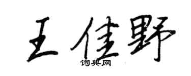 王正良王佳野行書個性簽名怎么寫