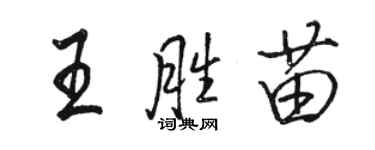 駱恆光王勝苗行書個性簽名怎么寫
