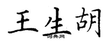 丁謙王生胡楷書個性簽名怎么寫