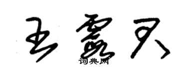 朱錫榮王霞君草書個性簽名怎么寫