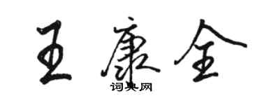 駱恆光王康全行書個性簽名怎么寫