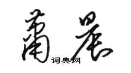 駱恆光蕭晨草書個性簽名怎么寫