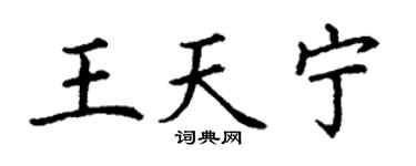 丁謙王天寧楷書個性簽名怎么寫
