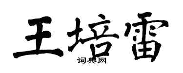 翁闓運王培雷楷書個性簽名怎么寫