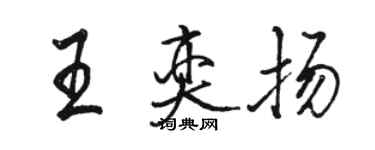 駱恆光王奕揚行書個性簽名怎么寫