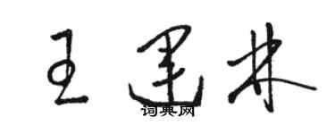 駱恆光王運林草書個性簽名怎么寫