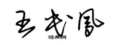 朱錫榮王民鳳草書個性簽名怎么寫