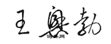 駱恆光王興勃草書個性簽名怎么寫